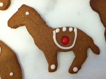 Gingerbread_Donkey