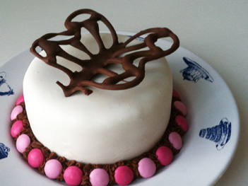 Chocolate_Butterfly_Cake_side