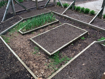 April_Garden_beds